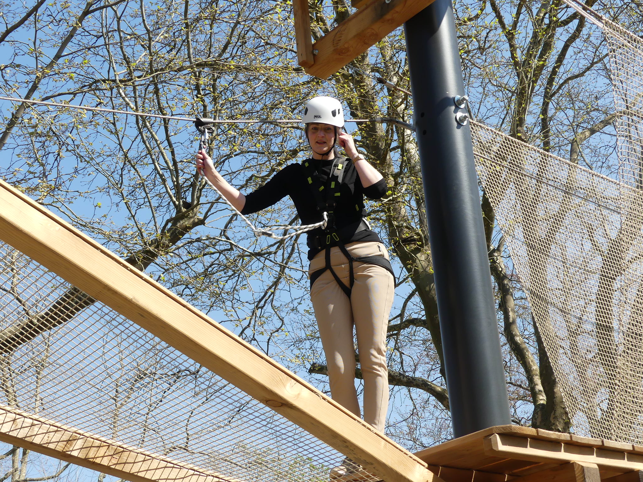 Family Challenge Deal